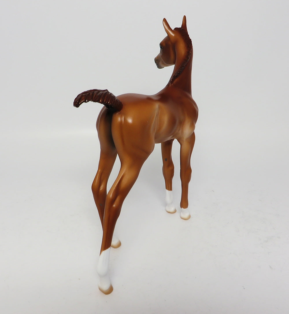 SHENANDOAH-OOAK CHESNUT ARABIAN FOAL MODEL HORSE EQ 2017
