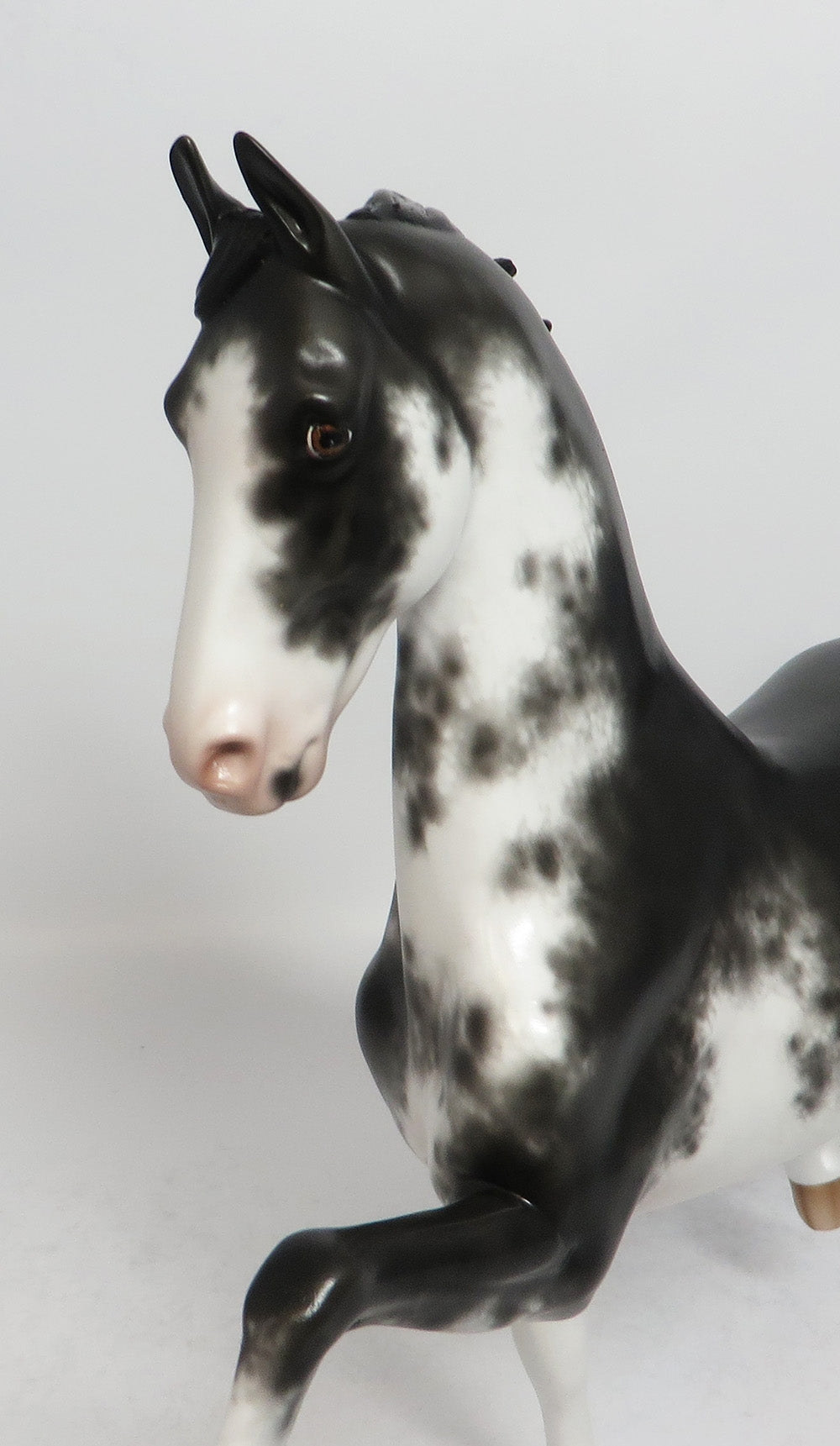 THE SINGING SOLLY-OOAK BLACK SABINO SADDLEBRED MODEL HORSE BY SHERYL LEISURE 2/16/18