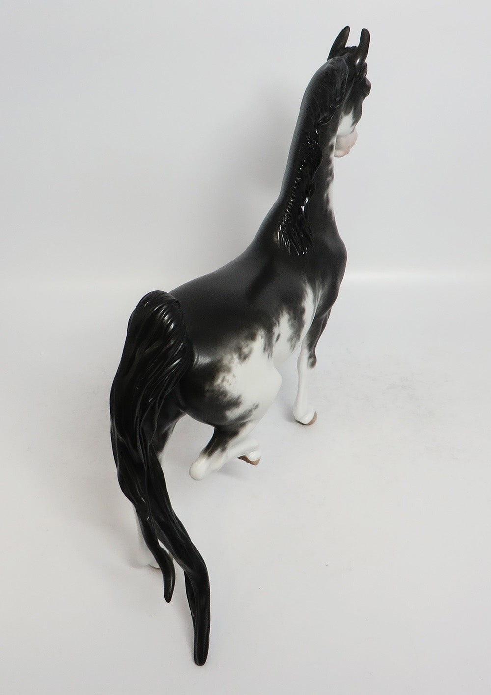 THE SINGING SOLLY-OOAK BLACK SABINO SADDLEBRED MODEL HORSE BY SHERYL LEISURE 2/16/18