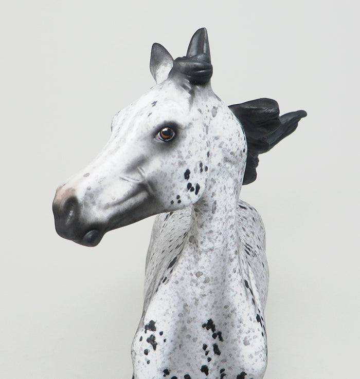 APPALOOSA