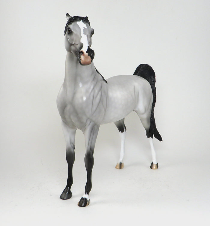 Grey Arabian Mare