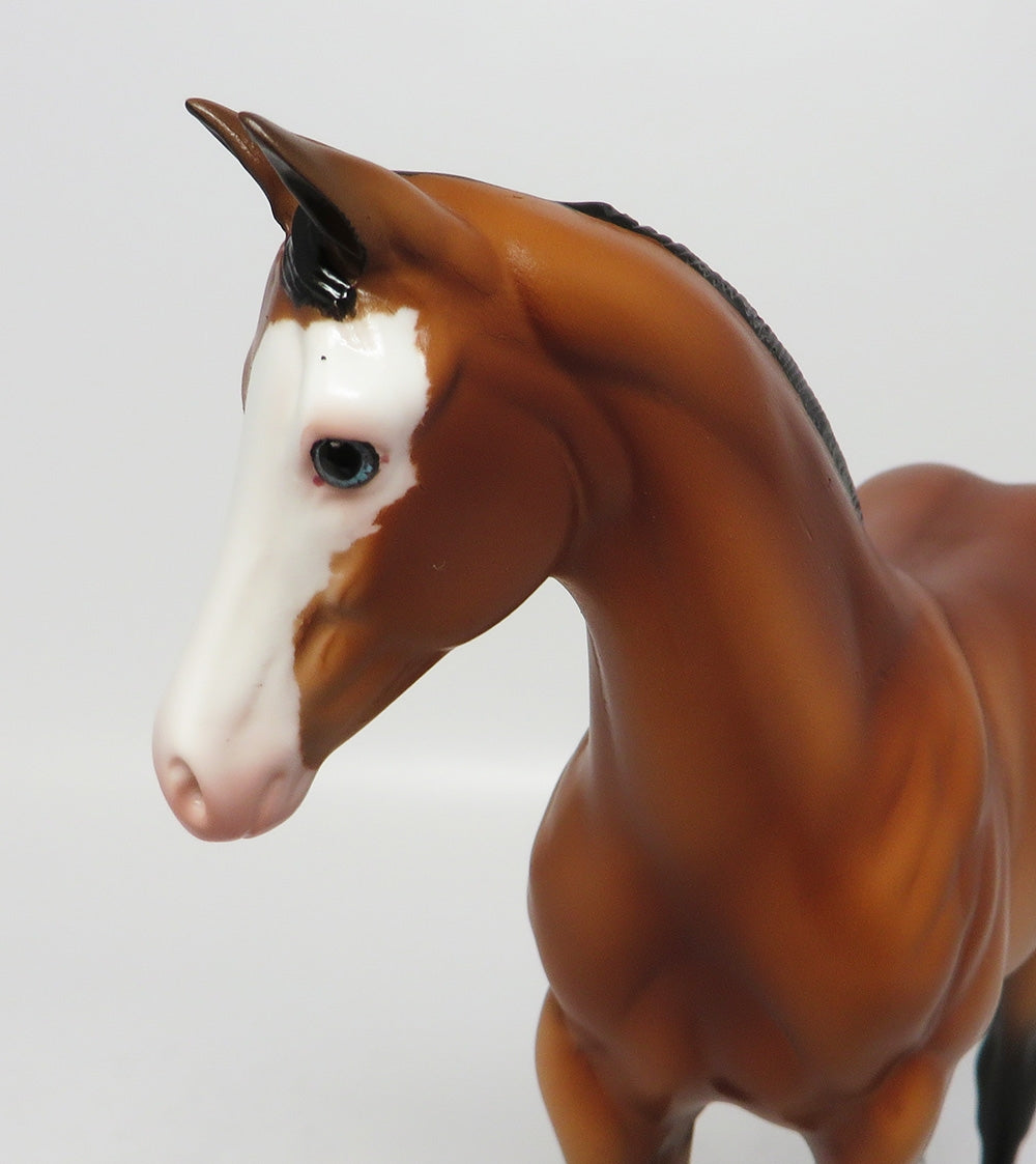 CUSTER-OOAK BAY PAINT WEANLING MODEL HORSE EQ 2017