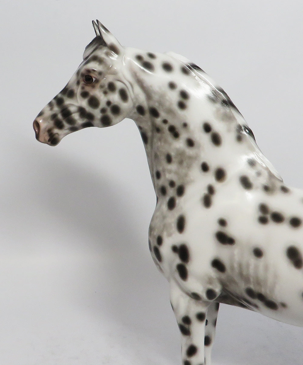 MOOSE MORAN-OOAK BLACK LEOPARD MORGAN MORGAN MODEL HORSE BY SHERYL LEISURE 2/16/18