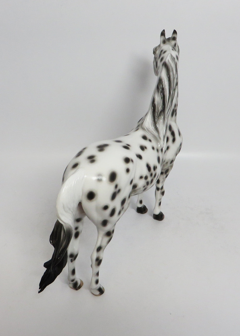 MOOSE MORAN-OOAK BLACK LEOPARD MORGAN MORGAN MODEL HORSE BY SHERYL LEISURE 2/16/18