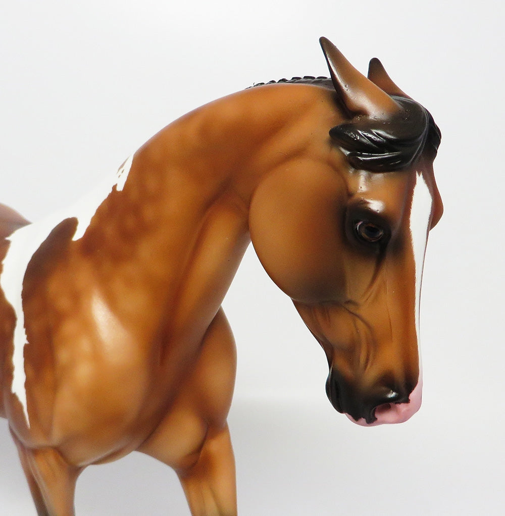 TRAIL OF TEARS-OOAK PINNED EARS  DAPPLED BUCKSKIN TOBIANO MODEL HORSE EQ 2017