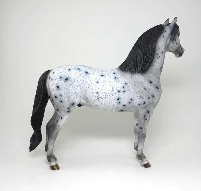APPALOOSA  MORGAN