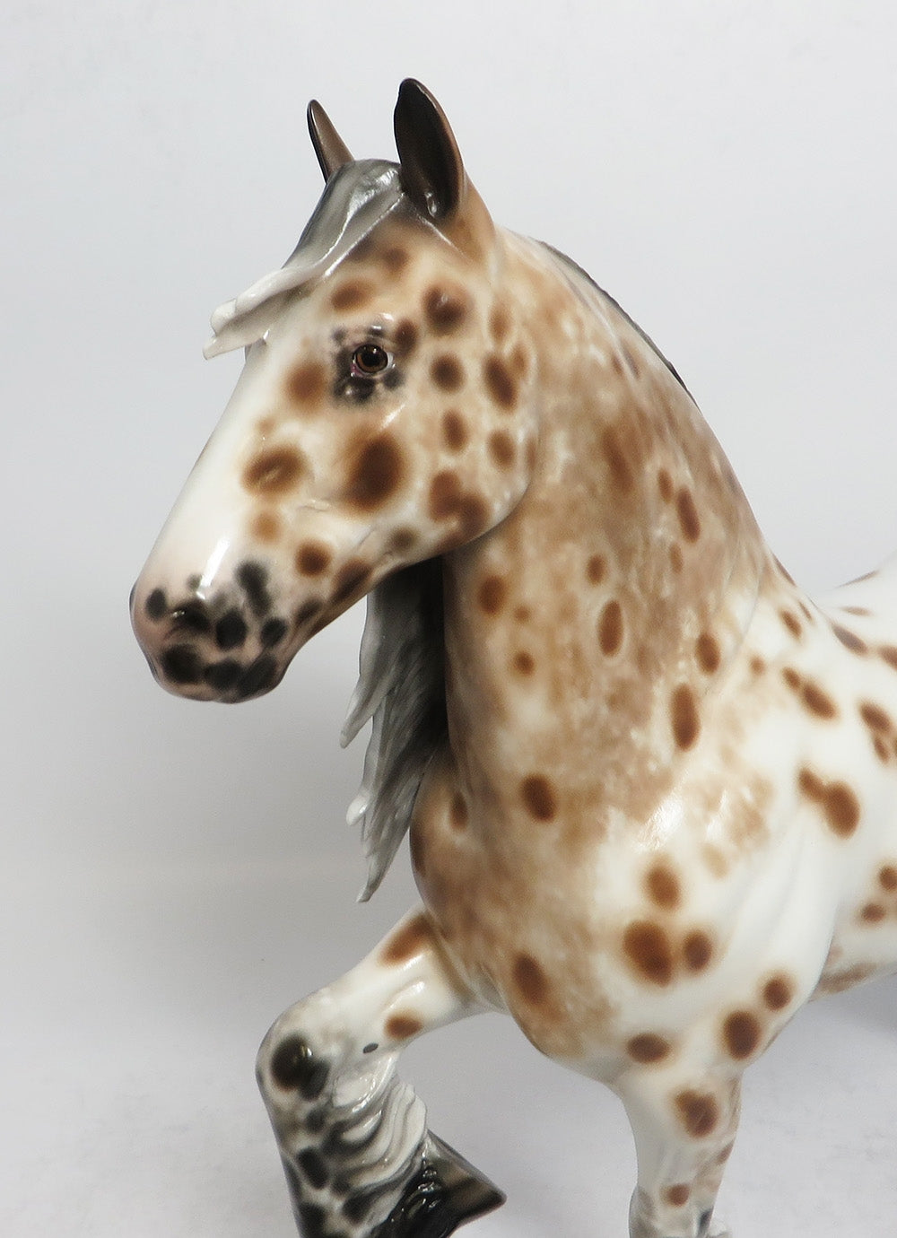 GOOMBA-OOAK BAY LEOPARD TROTTING DRAFTER BY SHERYL LEISURE 02/16/18