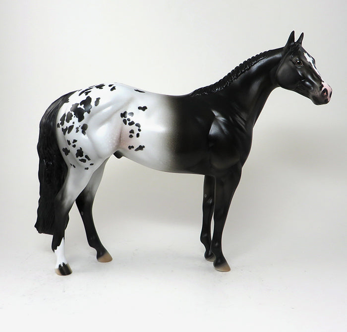 APPALOOSA ISH