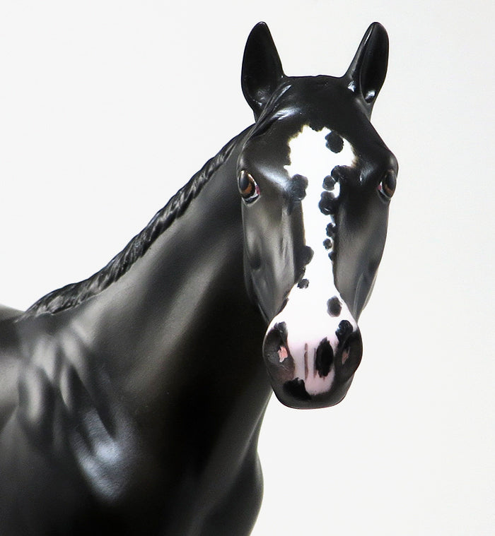 Black &amp; White Model Horse