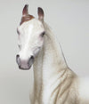 peter stone model horse 