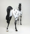  OOAK APPALOOSA 