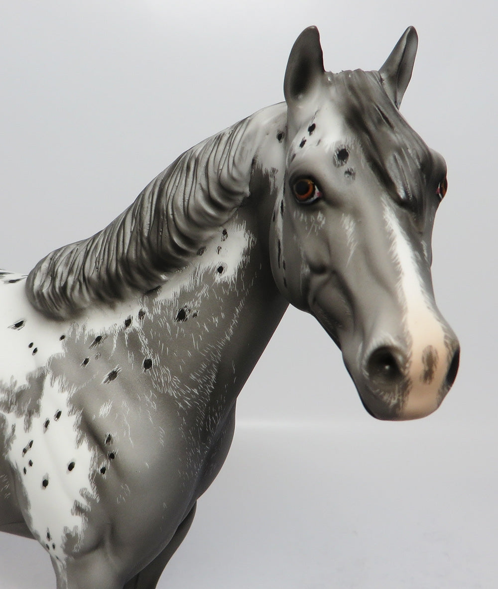 MONTAUK-OOAK APPALOOSA ISH ETCHED APPALOOSA BY DAWN QUICK EQ 2017