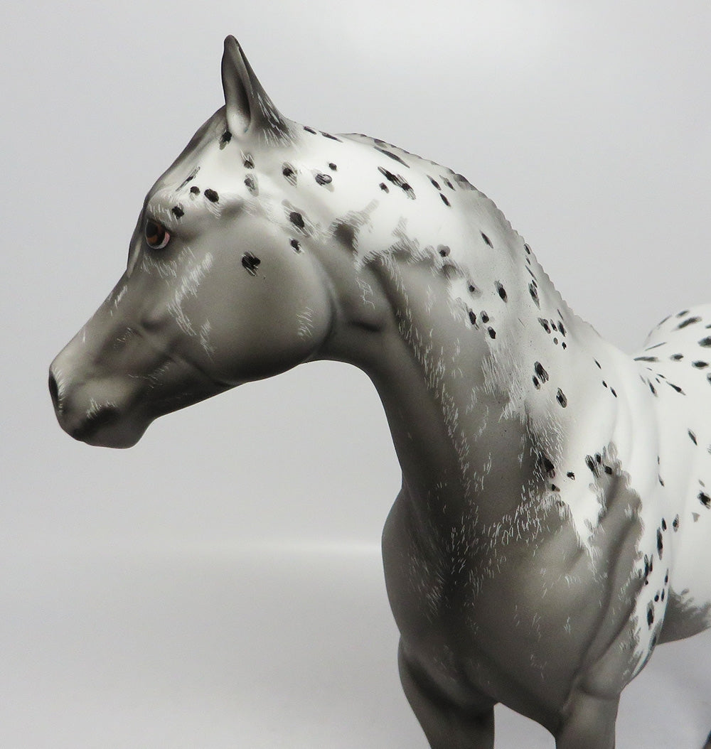 MONTAUK-OOAK APPALOOSA ISH ETCHED APPALOOSA BY DAWN QUICK EQ 2017