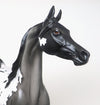 APPALOOSA ARABIAN 