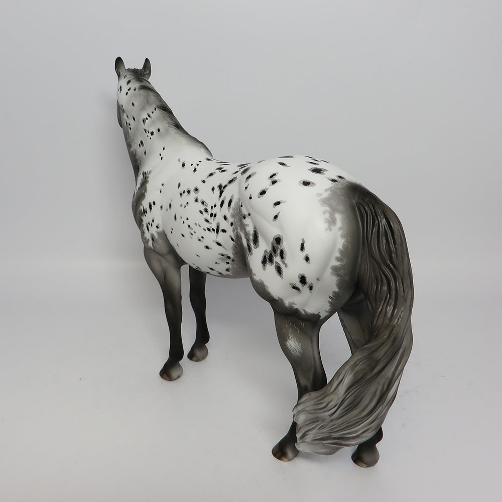 MONTAUK-OOAK APPALOOSA ISH ETCHED APPALOOSA BY DAWN QUICK EQ 2017