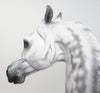 DAPPLE GREY ARABIAN