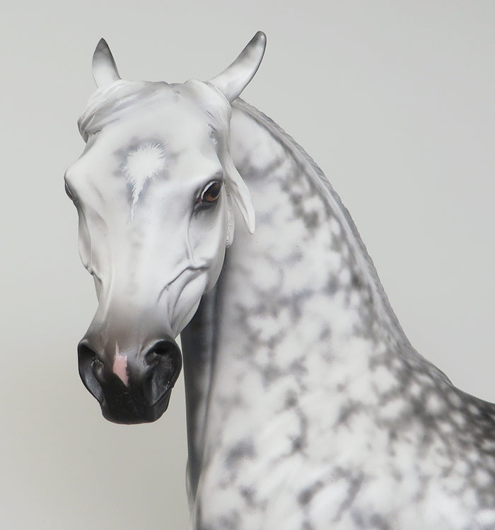 DOMNALL MAC MURCHADA