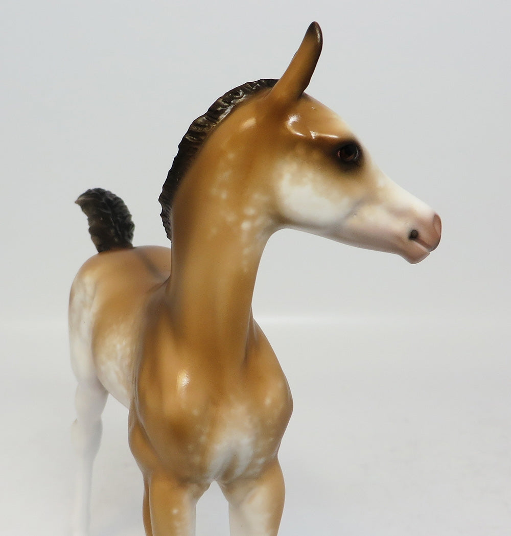 COCOA BEACH BABEE-OOAK DUN SABINO FOAL MODEL HORSE BY SHERYL LEISURE CUSTOMIZED BY ASHLEY