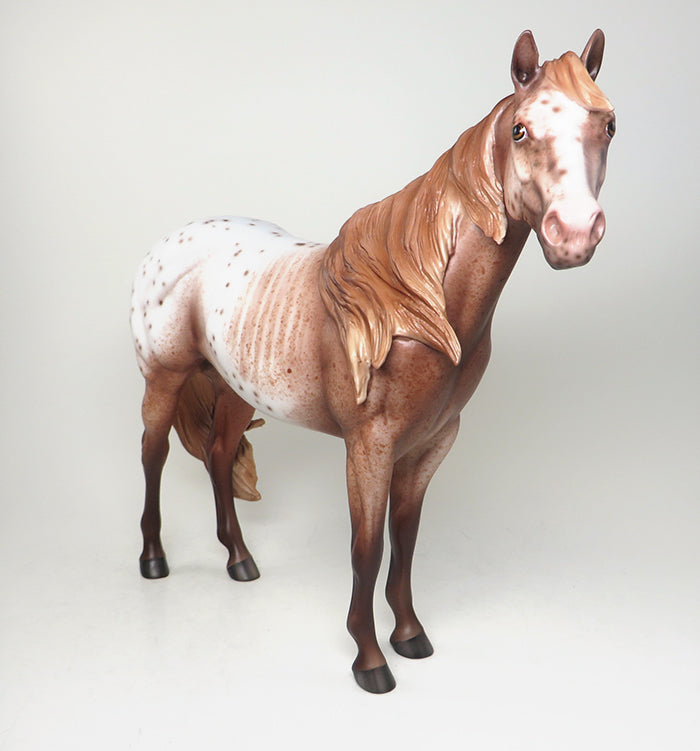 one of a kind ideal stock horse ish