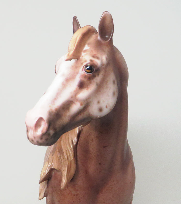 stunning sabino peter stone