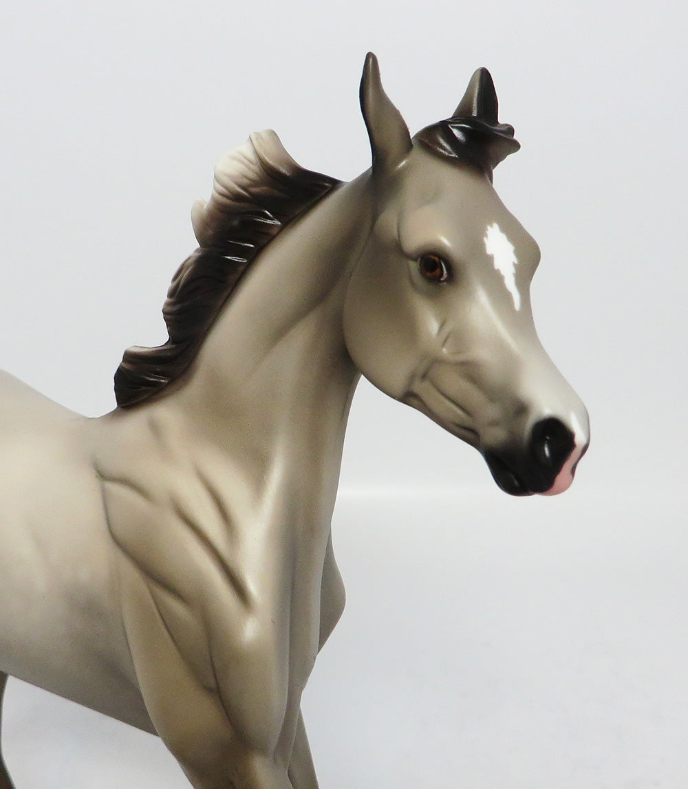 LAKOTA-LE-7 DAPPLED GREY YEARLING MODEL HORSE EQ 2017