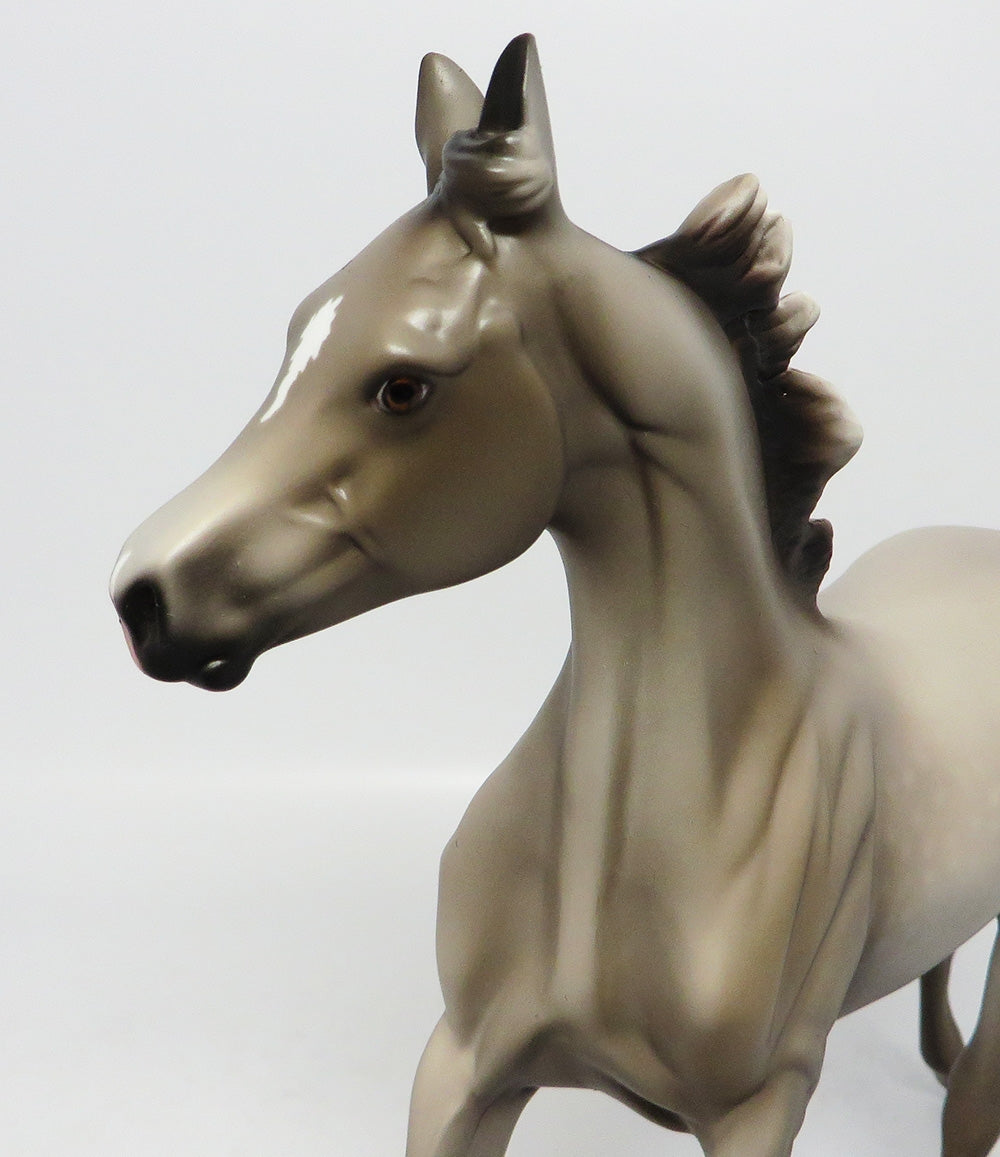 LAKOTA-LE-7 DAPPLED GREY YEARLING MODEL HORSE EQ 2017
