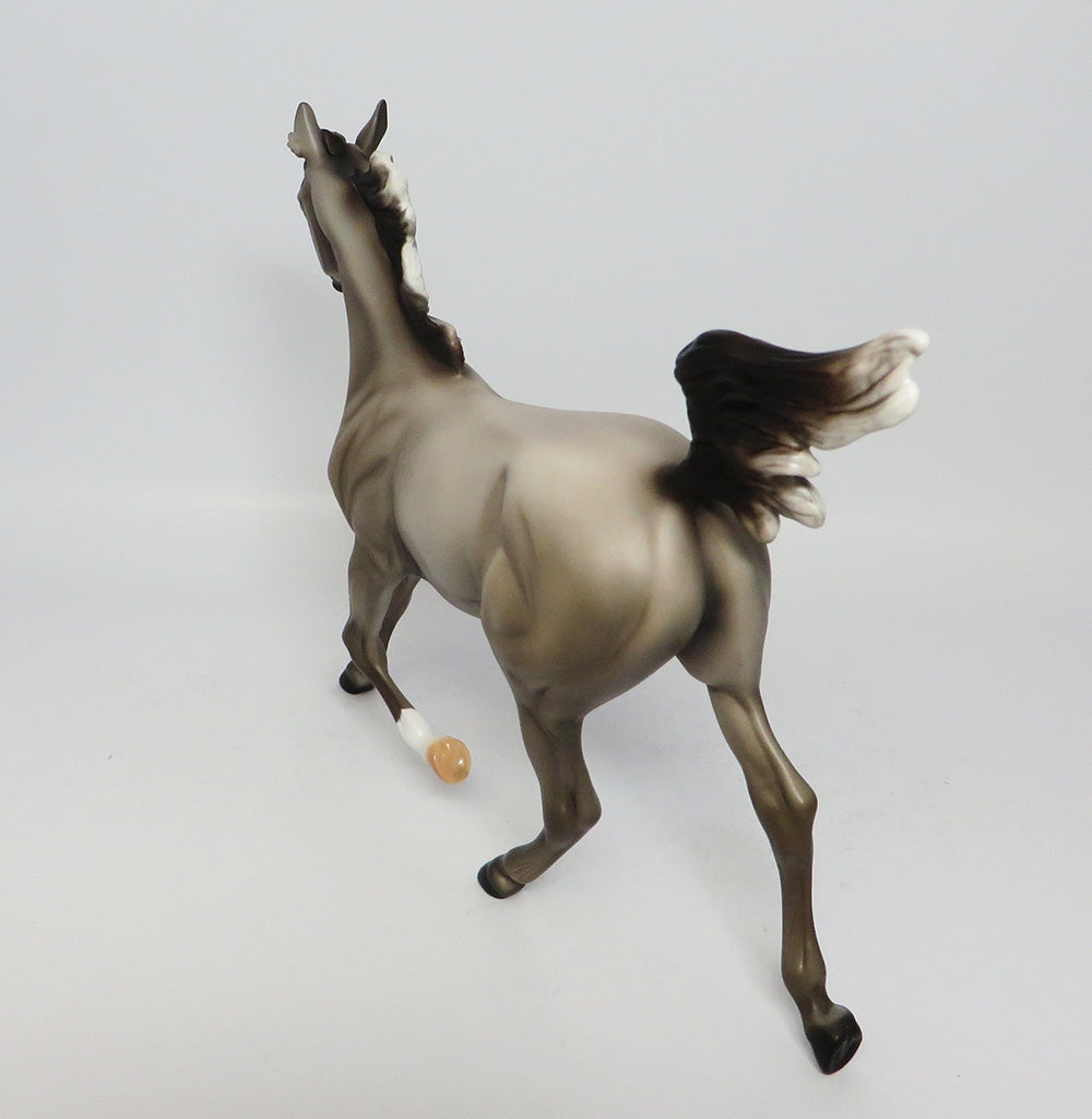 LAKOTA-LE-7 DAPPLED GREY YEARLING MODEL HORSE EQ 2017