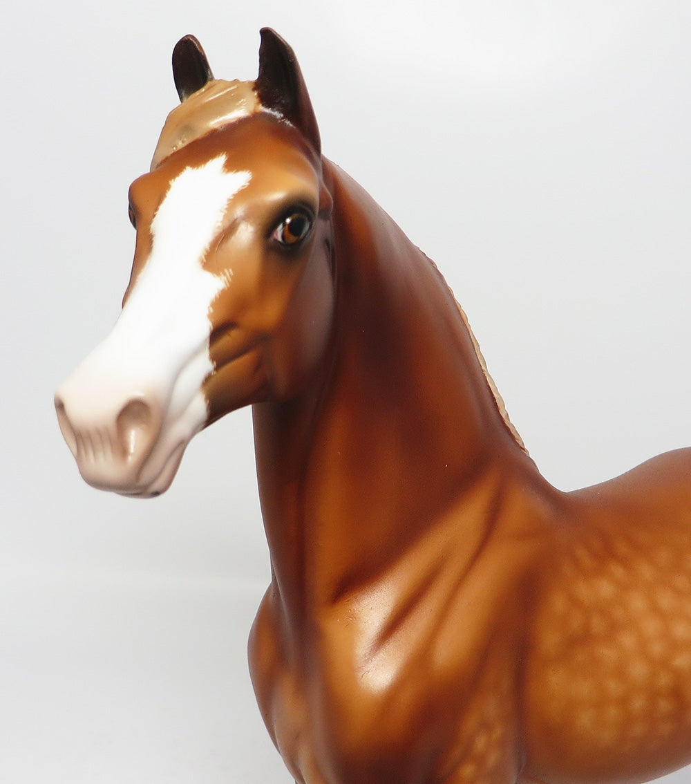 RALLY-OOAK DAPPLE CHESTNUT MORGAN MODEL HORSE 7/25/17