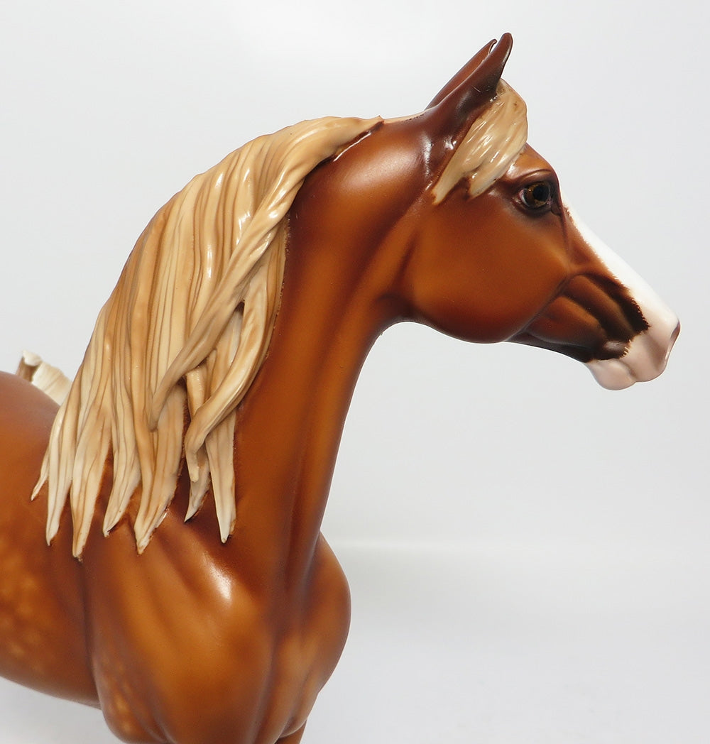 RALLY-OOAK DAPPLE CHESTNUT MORGAN MODEL HORSE 7/25/17