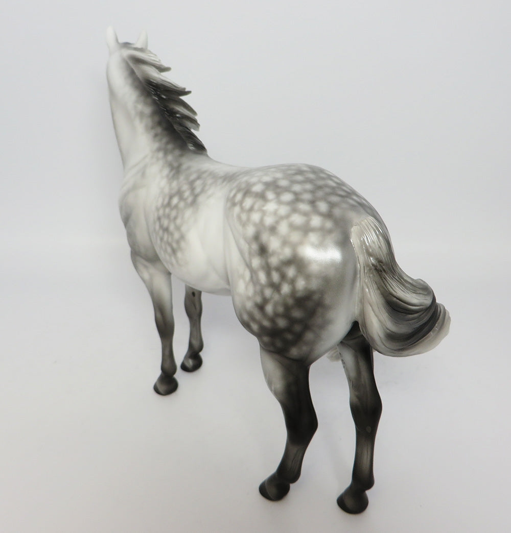TANK-OOAK STAR DAPPLE GREY ISH MODEL HORSE 7/25/17