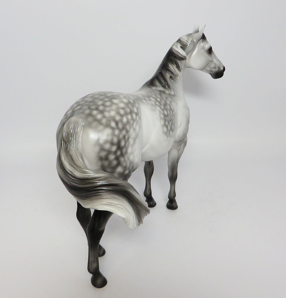 TANK-OOAK STAR DAPPLE GREY ISH MODEL HORSE 7/25/17