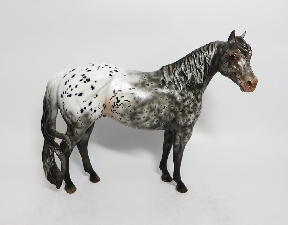 SHURI-OOAK GREY APPALOOSA ISH MODEL HORSE EQUINE AFFAIRE 2018