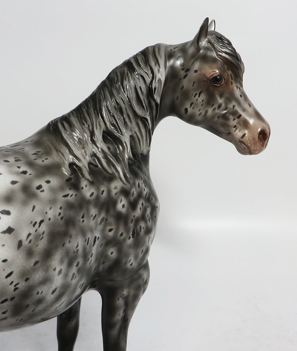SHURI-OOAK GREY APPALOOSA ISH MODEL HORSE EQUINE AFFAIRE 2018