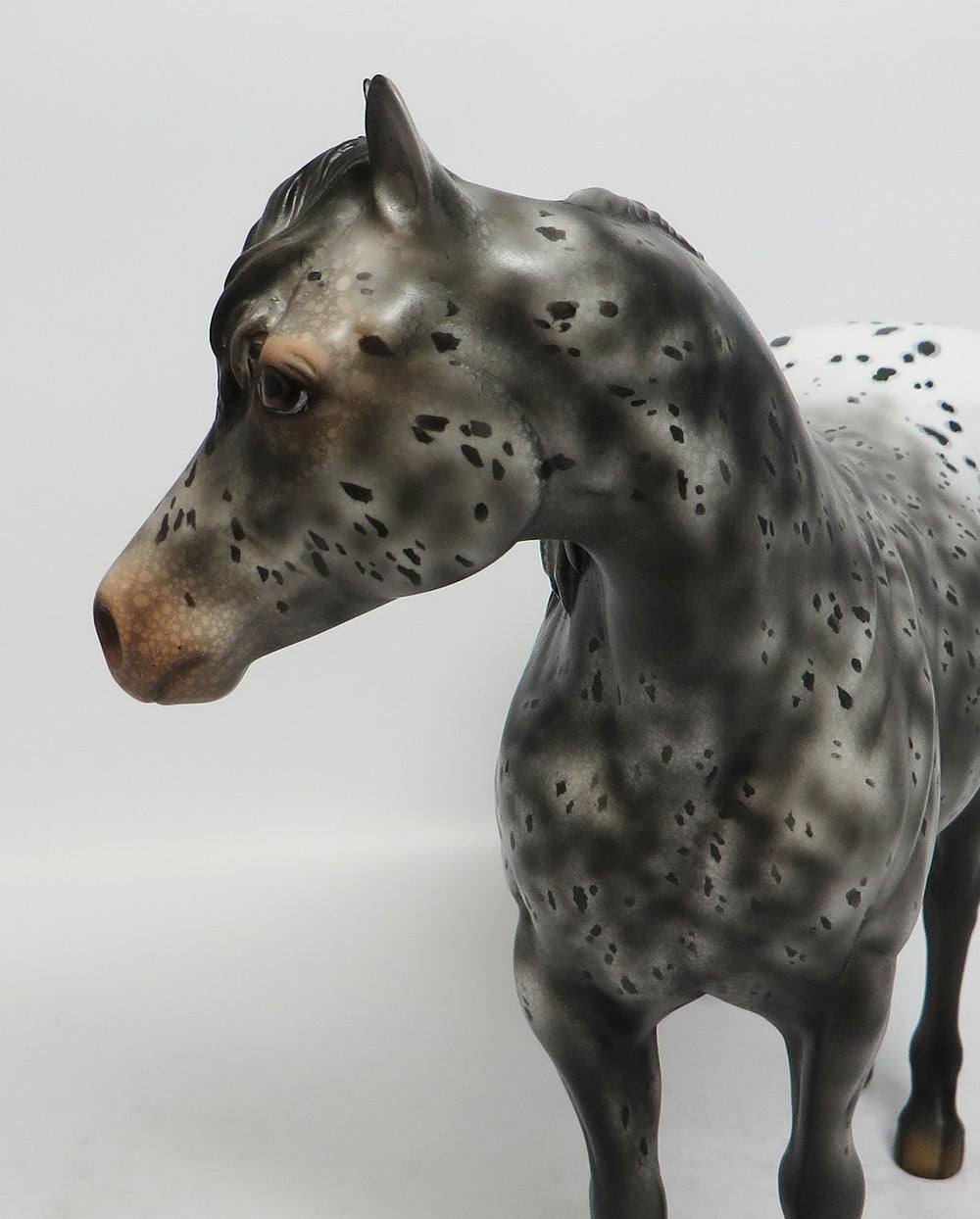 SHURI-OOAK GREY APPALOOSA ISH MODEL HORSE EQUINE AFFAIRE 2018