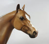 Palomino