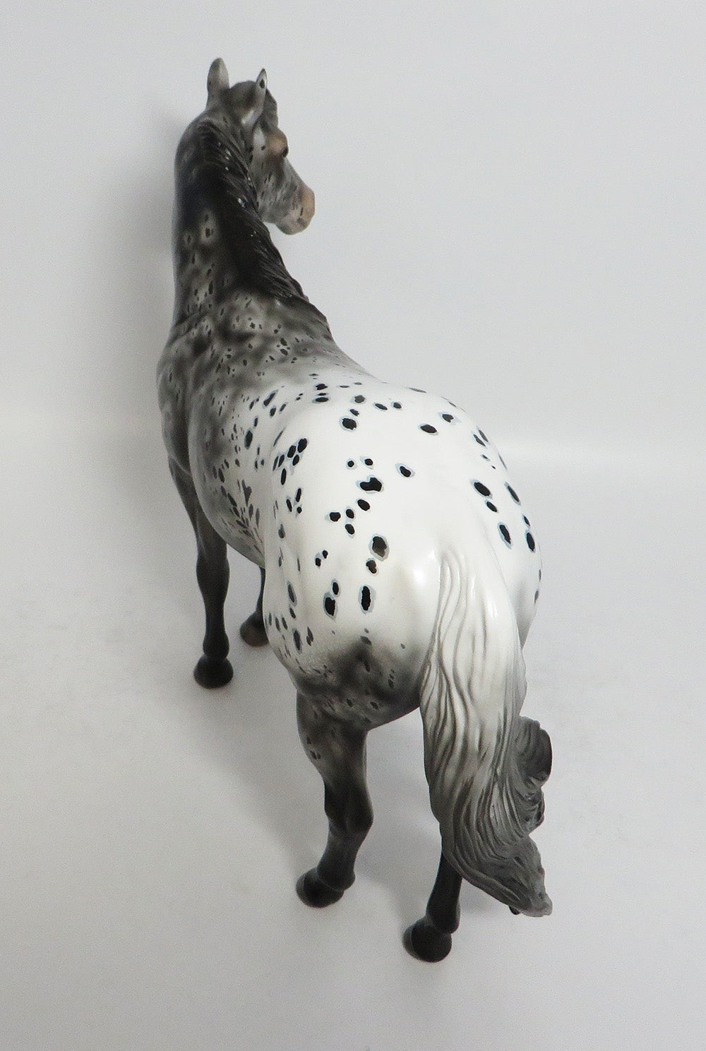 SHURI-OOAK GREY APPALOOSA ISH MODEL HORSE EQUINE AFFAIRE 2018