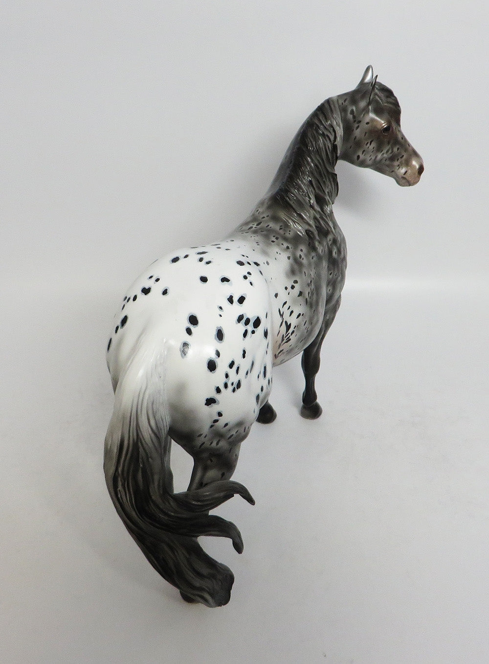 SHURI-OOAK GREY APPALOOSA ISH MODEL HORSE EQUINE AFFAIRE 2018