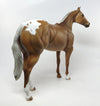 Appaloosa