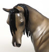 buckskin appaloosa