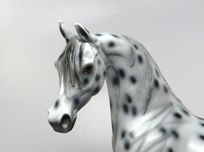 Appaloosa