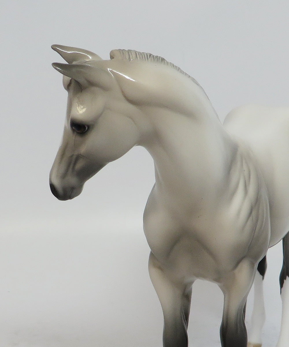 NAKIA-OOAK GREY WEANLING MODEL HORSE MIDWEST FAIR 2018