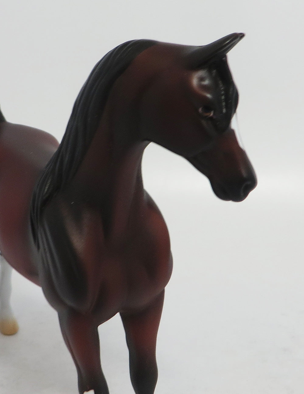 BAE-OOAK BAY SADDLBREAD PEBBLE EQUINW AFFAIRE 2018