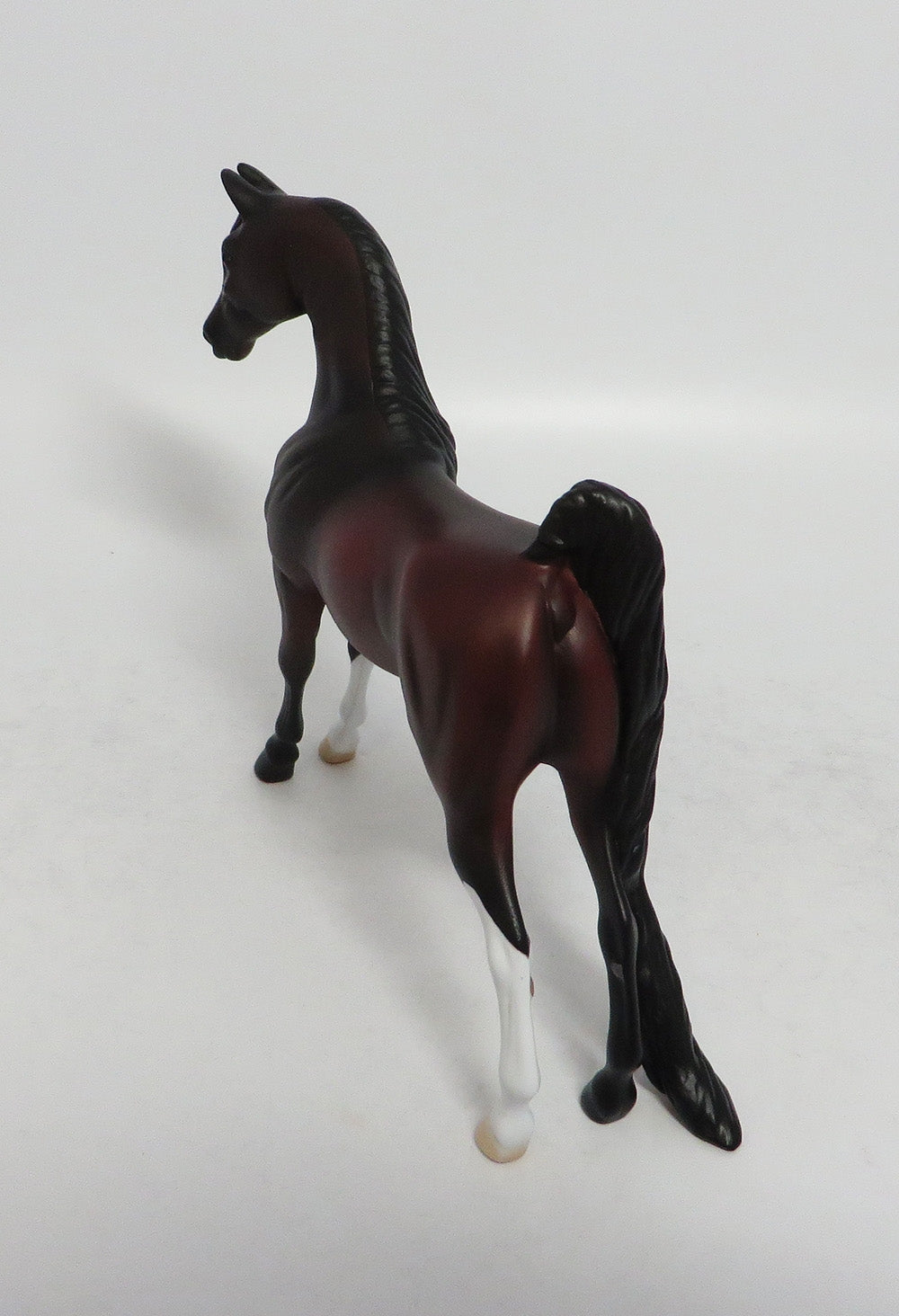 BAE-OOAK BAY SADDLBREAD PEBBLE EQUINW AFFAIRE 2018