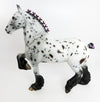 appaloosa