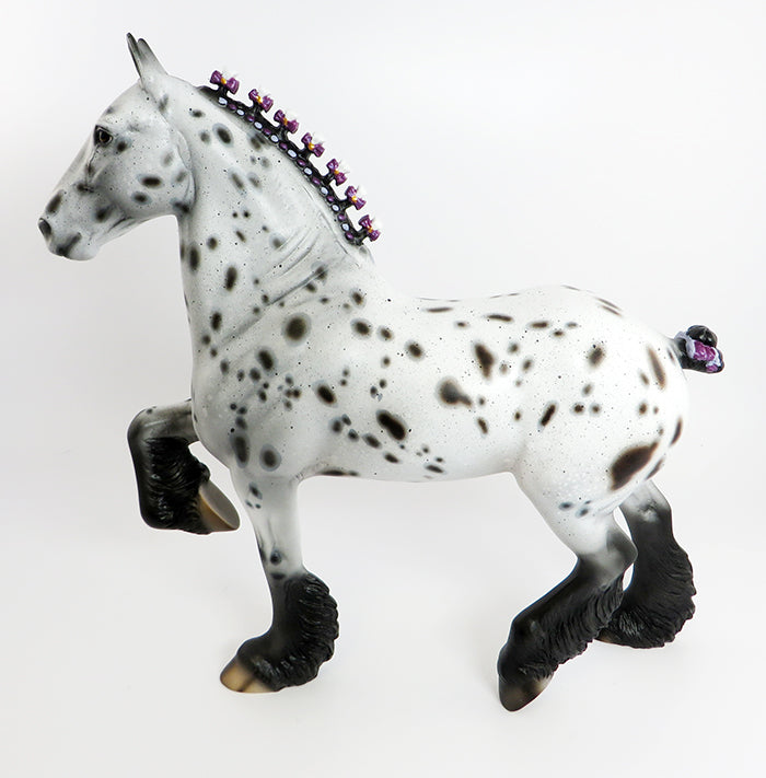 appaloosa