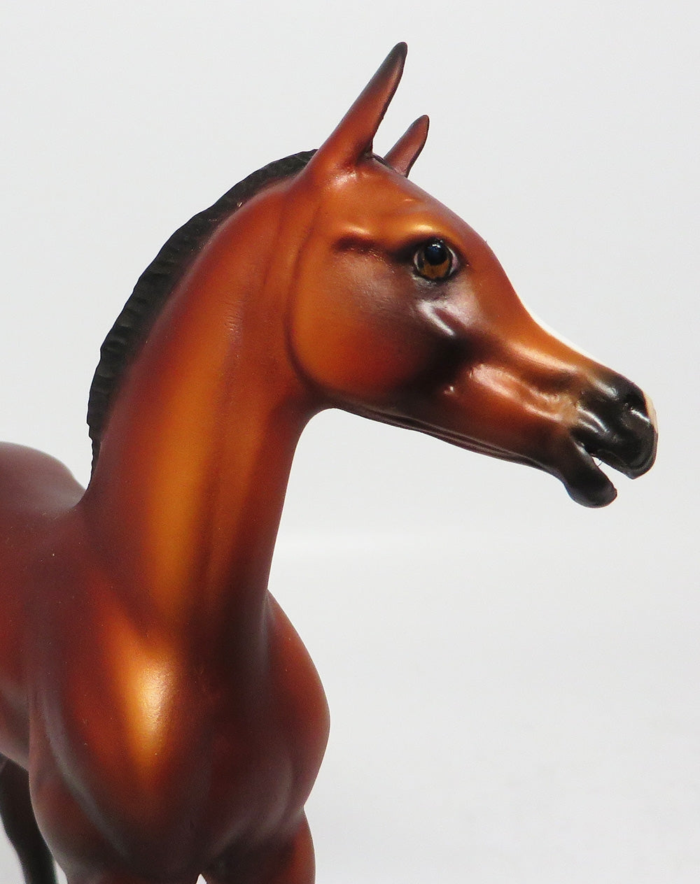 MY LUCKY PENNY-OOAK BAY FOAL MODEL HORSE 2/25/17