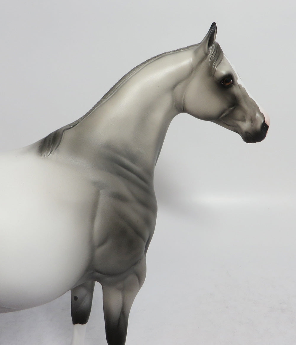 DORIAN GREY-OOAK GREY ISH MODEL HORSE MIDWEST FAIR 2018