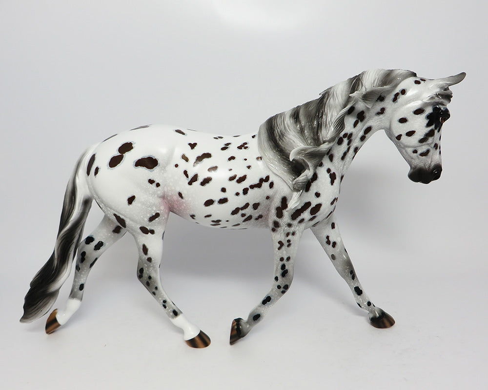 appaloosa