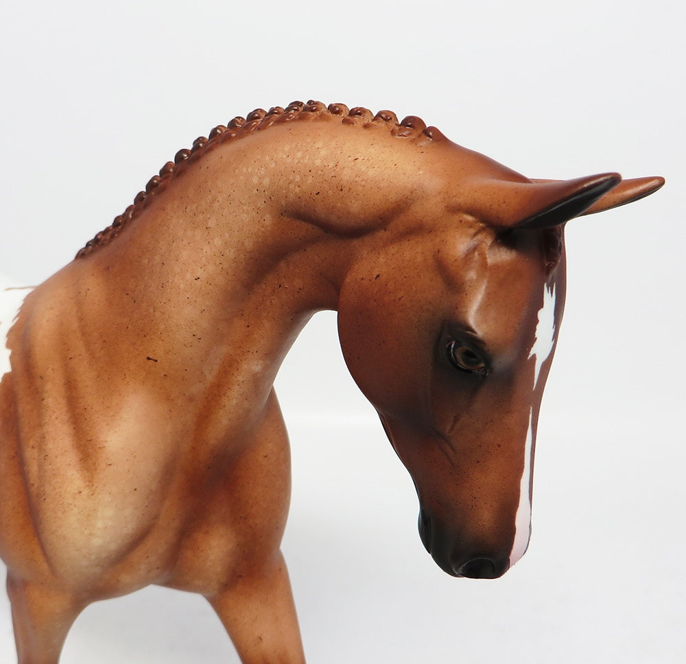 TORTE-LE-3 CHESTNUT APPALOOSA PONY MODEL HORSE 7/27/17