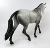 blue roan
